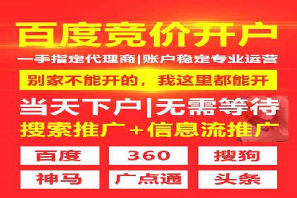 搜索开户返点政策下的成功案例分析